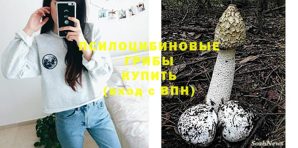 прущие крисы Новокубанск