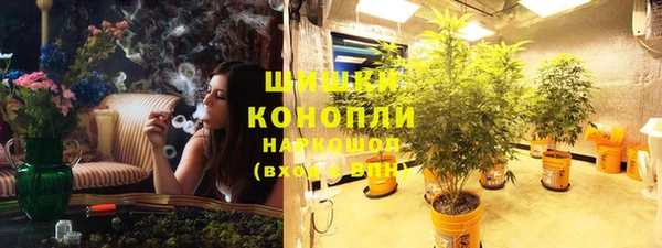 соль ск Новодвинск
