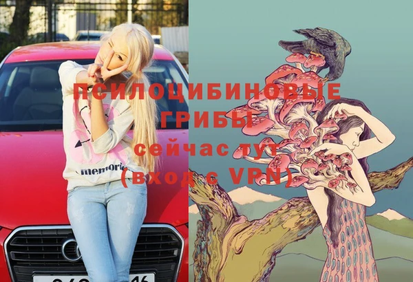 прущие крисы Новокубанск