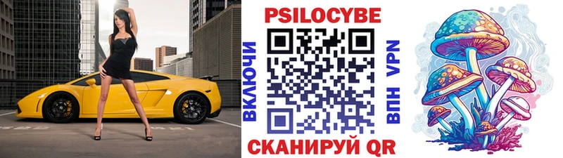Купить где  Светлоград  Псилоцибиновые грибы мухоморы 